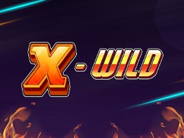X Wild - 1x2