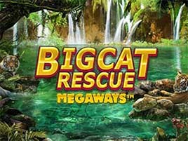 Big Cat Rescue Megaways - Red Tiger