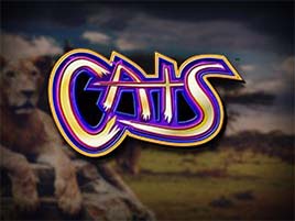 Cats - IGT