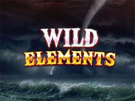 Wild Elements - Red Tiger