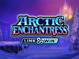 Arctic Enchantress