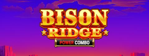 Bison Ridge Power Combo - Games Global