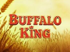 Buffalo King - Pragmatic Play