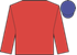 Hijikata Souta runner image